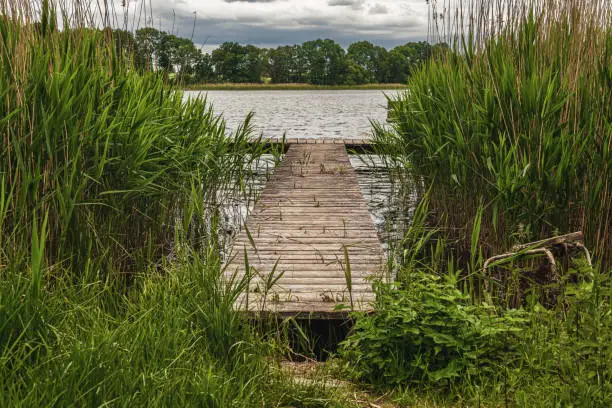 A wooden jetty leading into the Daschower See (Lake Daschow), Mecklenburg-Western Pomerania, Germany