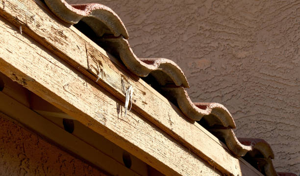 istock Wood Damage on House 1384370941