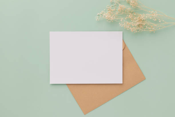 istock Blank greeting card invitation Mockup 5x7 on Brown envelope with dried flowers on pastel green background, flat lay, mockup 1384376913