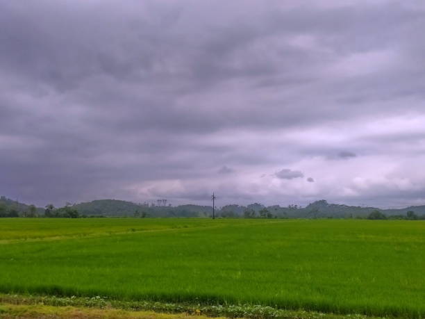 istock Joinville rural landscape 1384384217