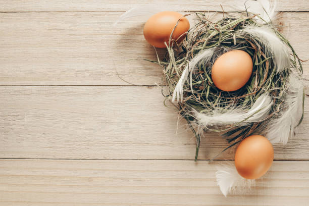 istock Natural easter colour eggs in basket with spring tulips, white feathers on wooden table background in Happy Easter decoration. Spring holiday top view concept. 1384386267