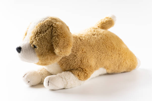 istock Stuffed dog on white background 1384416483