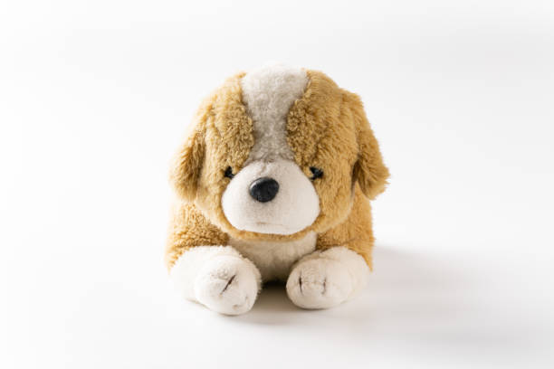 istock Stuffed dog on white background 1384416490