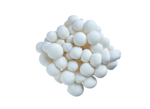 istock White beech mushrooms or Shimeji mushroom on white background with Clipping path. 1384422759
