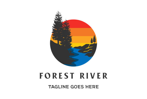 ilustrações, clipart, desenhos animados e ícones de sunset pine evergreen conifer cedar spruce larch cypress fir trees forest com river creek emblem design vector - lariço