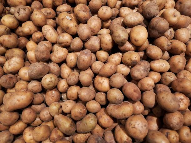 istock This is an unpeeled potato 1384426547