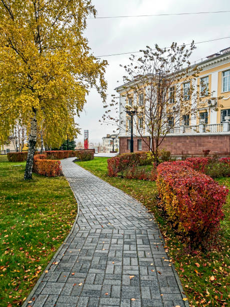 istock bright multicolored trees in the autumn park 1384427789