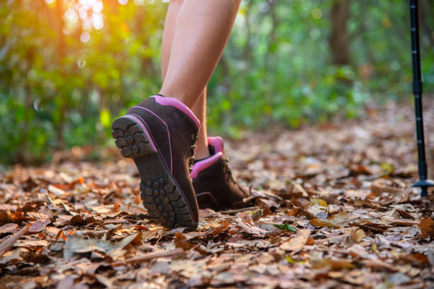 istock Hiker with backpack relaxing young woman hiking holiday 1384433239