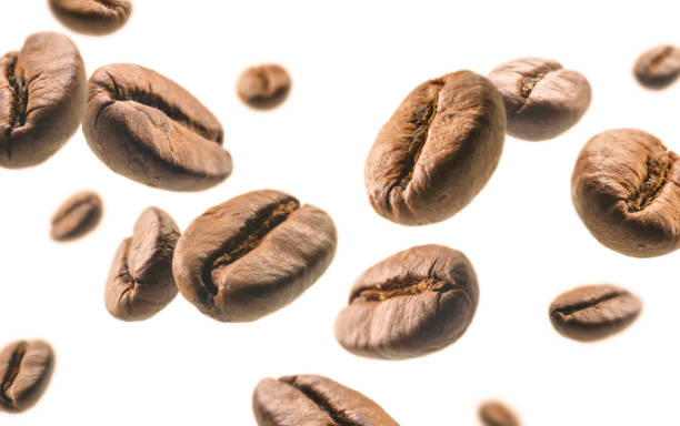 istock Coffee beans levitate on a white background 1384436755