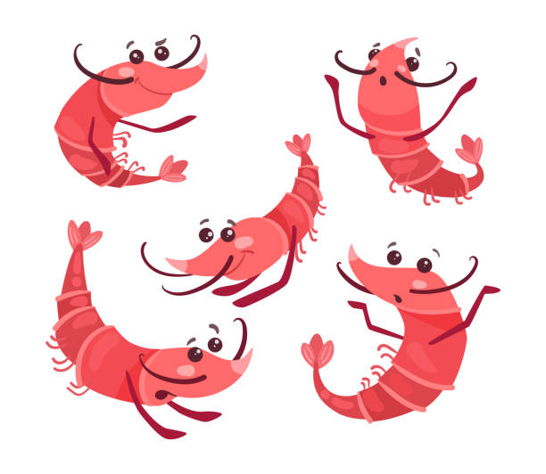 Cute shrimps with pretty faces cartoon illustration set Cute shrimps with pretty faces cartoon illustration set. Happy, frightened and surprised pink prawn characters in different poses isolated in white background. Marine animal, seafood, ocean concept prawn animal stock illustrations