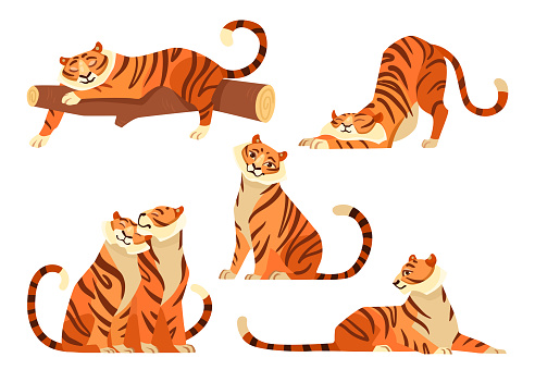 Cute tigers in different poses cartoon illustration set. African tiger and tigress sitting together. Wildcats stretching, sleeping on tree branch. Wildlife, jungle concept