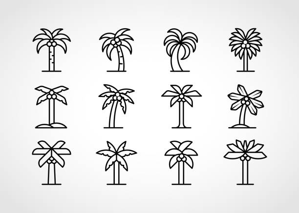 набор значков векторной линии дерева - tropical climate island beach branch stock illustrations