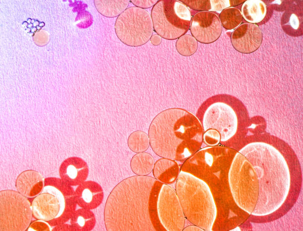 istock Oil and Water with a dash of light 1384450688