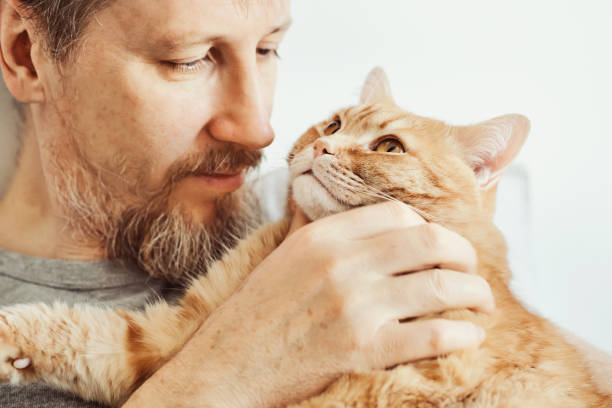 istock Bearded man hugging and stroking ginger cat close-up. Selective focus on cat's muzzle 1384453189