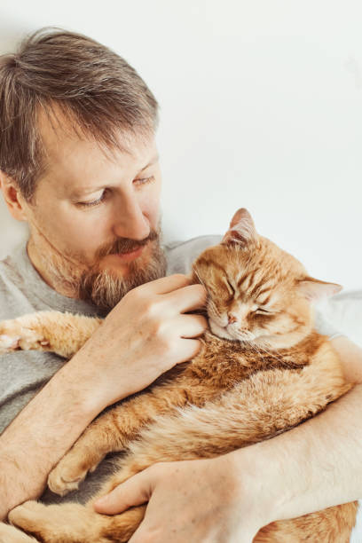 istock Bearded man hugging and stroking ginger cat close-up. Selective focus on cat's muzzle 1384453190