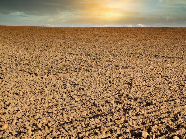 istock Dry Farmland Due To Global Warming. Agriculture 1384463149