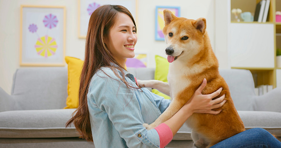 Young asian pretty woman hugging her beloved big dog sitting on the floor in living room - Animal communication concept