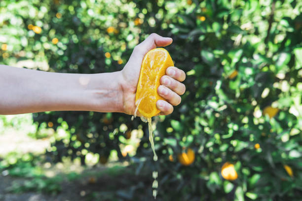 A human hand crushes half of a juicy orange.