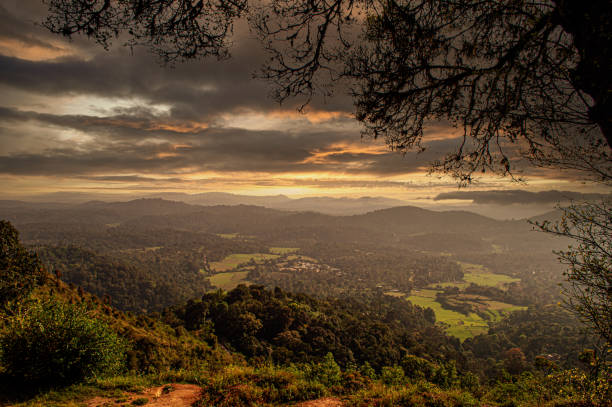 coorg landscape, south india