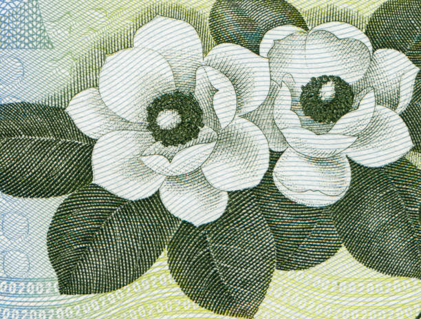 kimilsungia diseño de patrones de billetes de corea del norte - korean currency fotografías e imágenes de stock