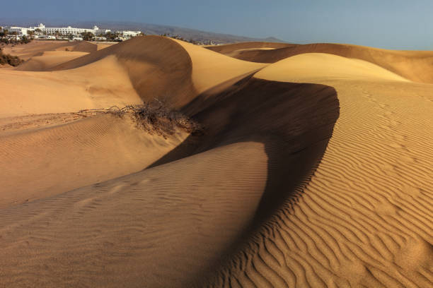 Maspalomas dunes, nature reserve on the island of Gran Canaria, Spain stock photo