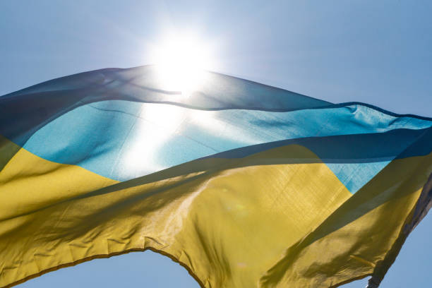 Ukrainian flag is developing in the wind stock photo