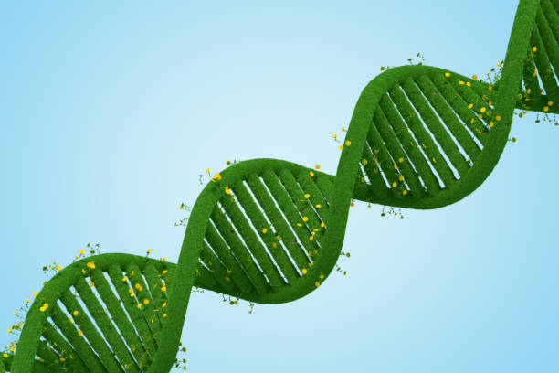 istock Green DNA with Grass and Flowers 1384496826