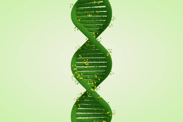 istock Green DNA with Grass and Flowers 1384496951