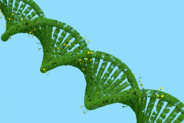 istock Green DNA with Grass and Flowers 1384498750