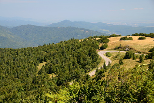 Vosges landscape in France, mountains covered with forest