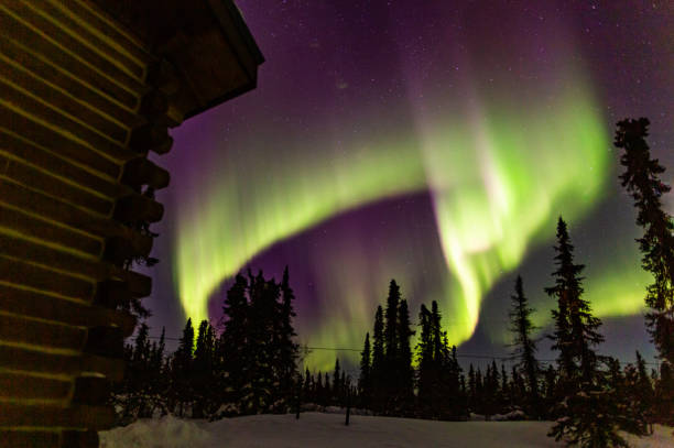 istock Beautiful aurora in Fairbanks, Alaska. 1384519290