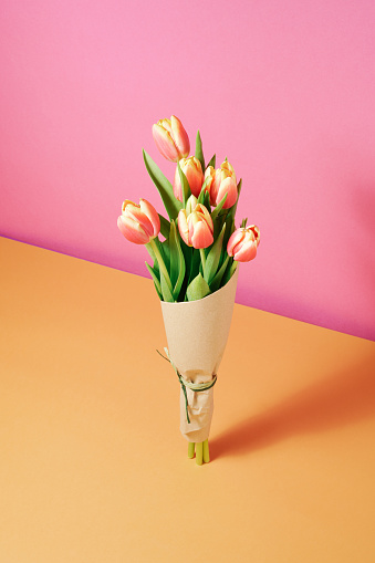 Bright Hot Pink Tulip Flowers in Full Bloom with Lush Green Stems & Leaves in Bright Natural Daylight with a Neutral Cream-Colored Background with Copy Space