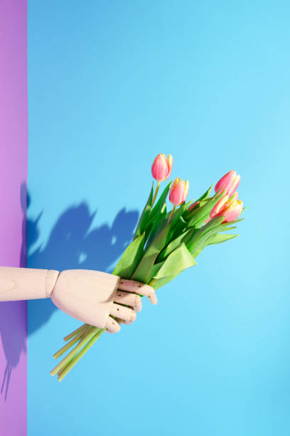 Contemporary still life, wooden mannequin hand holding  bouquet of orange - yellow tulips on blue - violet background. Minimal spring concept. Contemporary still life, wooden mannequin hand holding  bouquet of orange - yellow tulips on blue - violet background. Minimal spring concept. artificial flower stock pictures, royalty-free photos & images