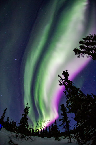 Aurora spread in the whole sky.