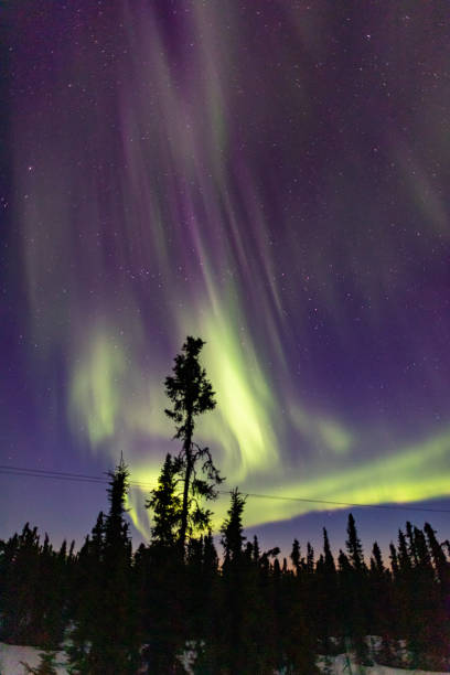 istock Beautiful aurora in Fairbanks, Alaska. 1384522098