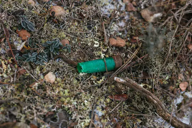 Photo of One shotgun cartridge used on forest floor