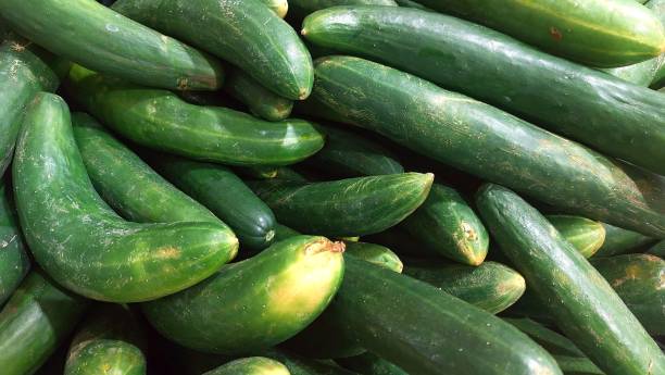 istock Cucumbers (Cucumis sativus) cucumber salad or snake cucumber 1384526160