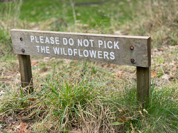 istock Please do not pick the wildflowers sign 1384533850