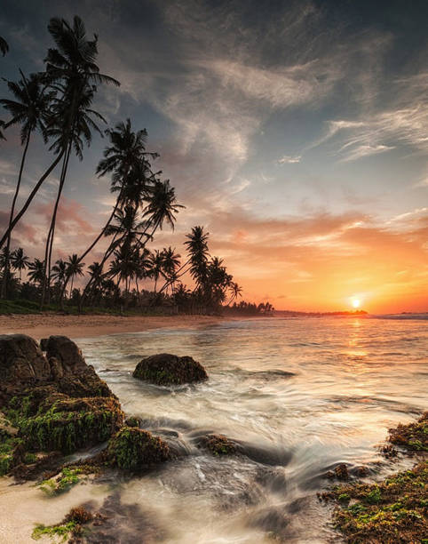 istock Galle, Sri Lanka pictures 1384550466