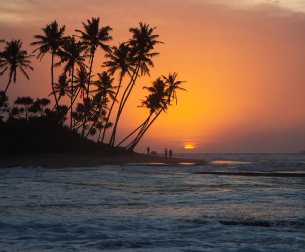 istock Galle, Sri Lanka pictures 1384550479