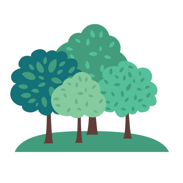 Simple tree concept drawn in flat colors on a transparent base.