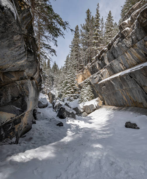 istock Jura Creek in Kananaskis 1384551967