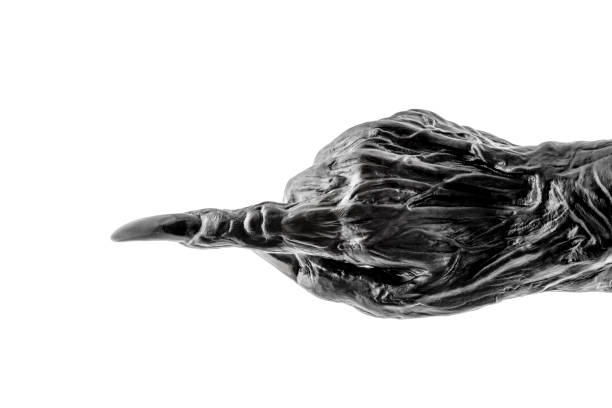Creepy monster hand isolated on white background with clipping path