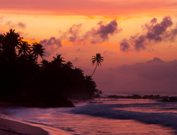 istock Galle,Sri Lanka pictures 1384565000