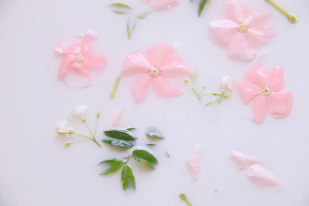 istock Flowers in a milk bath 1384572549