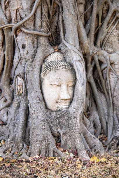 istock Buddha head on a banian tree at Ayutthaya 1384579030
