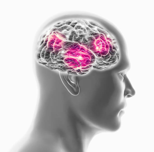 istock Human brain and man face, side view. X-rays. Degenerative disease, synapses and neurons, brain functioning 1384583885