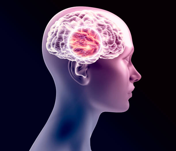 istock Human brain and man face, side view. X-rays. Degenerative disease, synapses and neurons, brain functioning 1384583887
