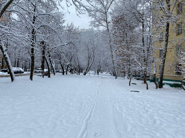 istock winter in city yard at cloudy day after snowfall 1384586884