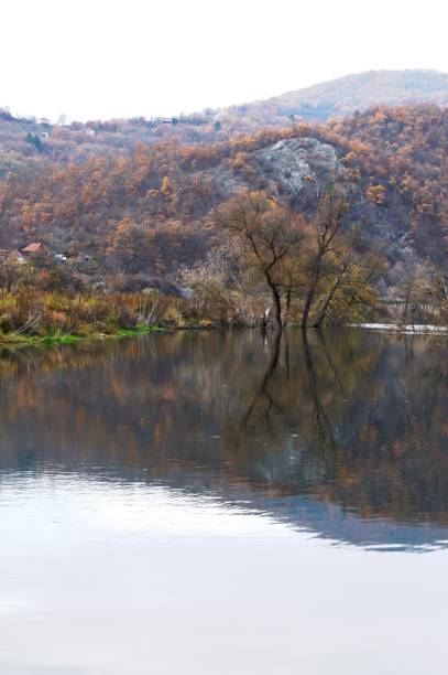 istock reflection in the river in autumn 1384587505